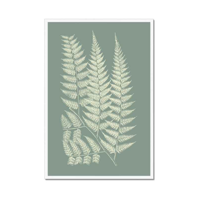 Ferns On Sage III by Vision Studio - Painting on Canvas, White Framed Paper Print, 34cm H x 24cm W