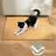 Tapis de protection pour chat