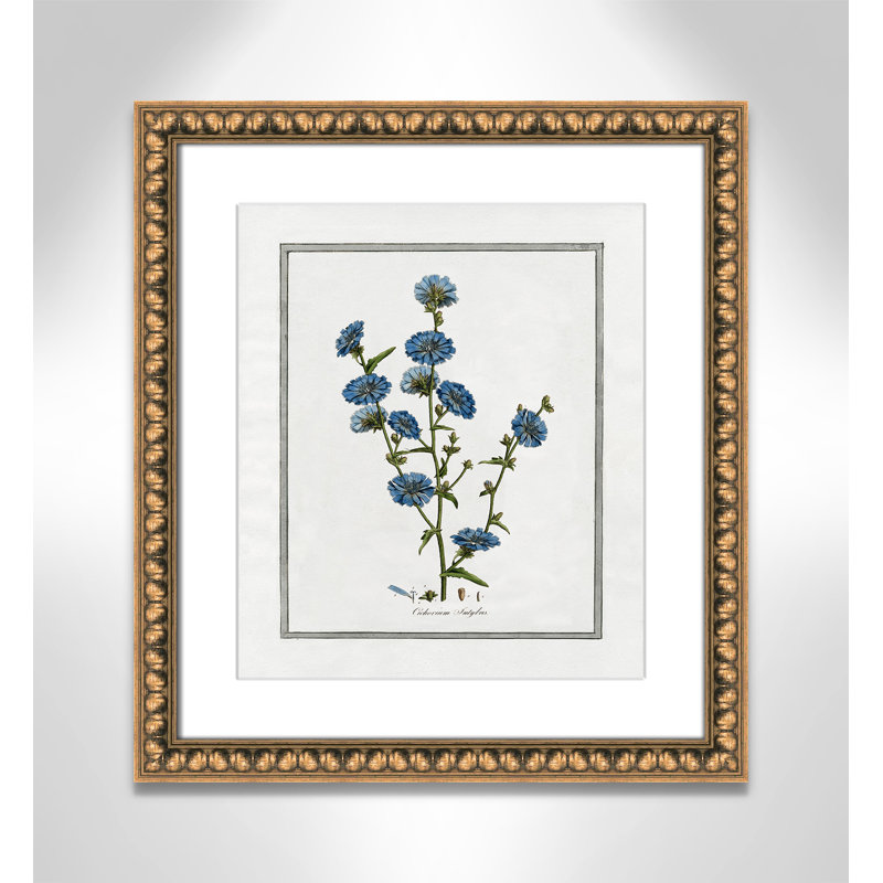 Colombe Soft Botanical I - Art encadré avec fond perdu, Cadre en perle d'or, L 14 po x H 16 po