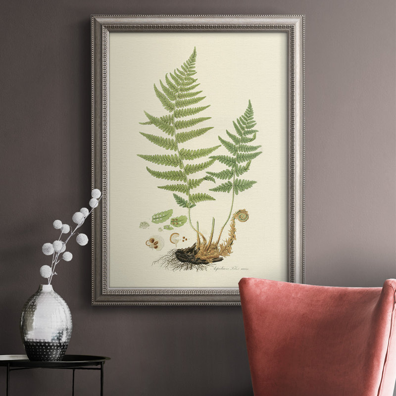 «Curtis Ferns II», cadre photo, impression sur toile, H 20 po x l 16 po