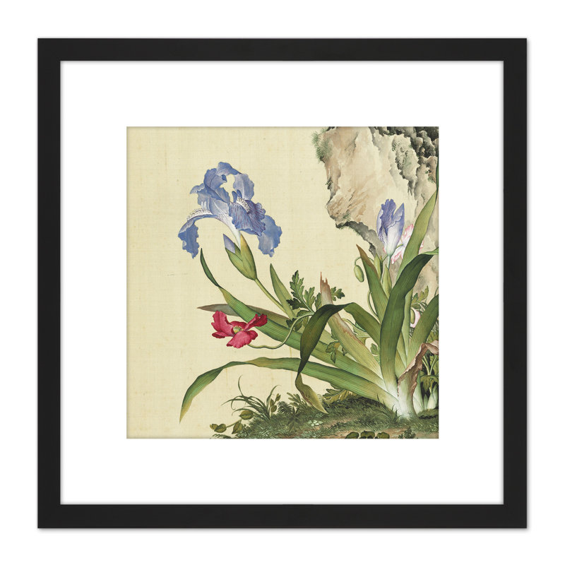 Castiglione Iris Flower Plant 1 Piece Single Picture Frame Painting