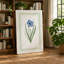 Blue Flower Study Botanical - Wrapped Canvas-686380768-686380778