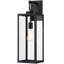 Schlesinger Matte Black Outdoor Wall Lantern-516119888