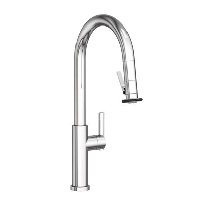 Pull-Down Kitchen Faucet - Trigger Spray