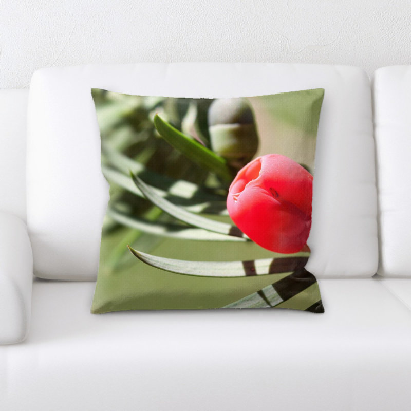 Coussin yew