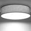 Parvin Flush Mount-1220517389