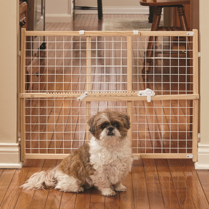Barrière de sécurité Mid-West Homes For Pet, H 24 po x l 27 po x P 2,55 po