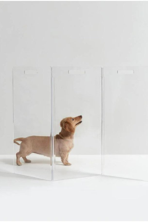 Pet Gates