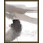 Sun Spring Print by Thom Filicia