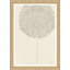 Allium I by Susan Hable - Picture Frame Drawing Print-1380464677
