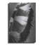 «Feather Shadow I» par Debra Van Swearingen-101623406