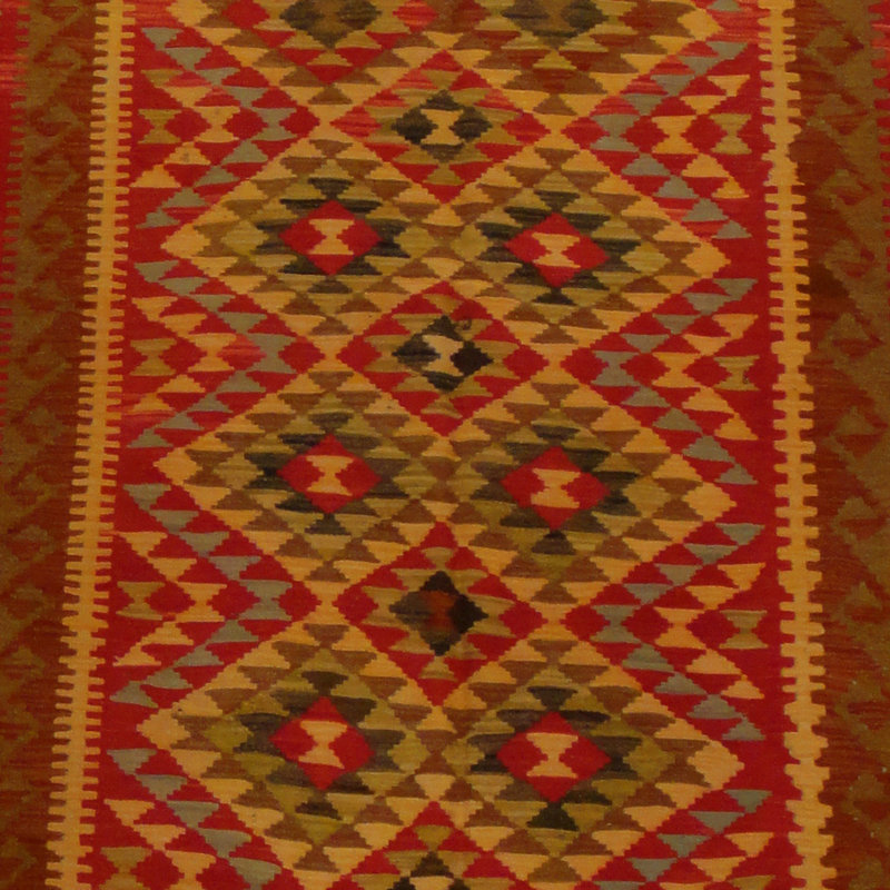 Azpeitia Wool Southwestern Indoor Rug