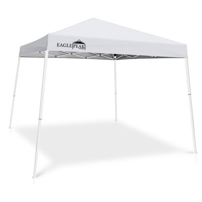 Pop Up Canopies 10 Ft. W x 10 Ft. D Slant Leg Steel Party Tent