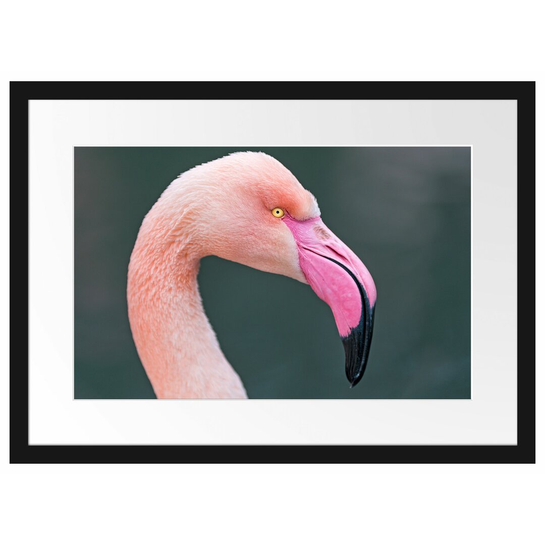 Gerahmtes Poster Flamingo im Seitenprofil