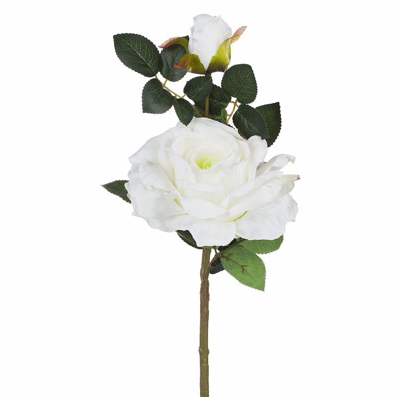 Fleurs et roses, Blanc