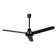 Doyle 48'' Ceiling Fan