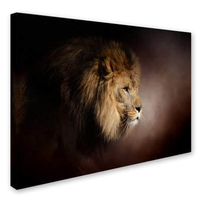 Vidur 'The Mighty Lion' Graphic Art Print on Wrapped Canvas