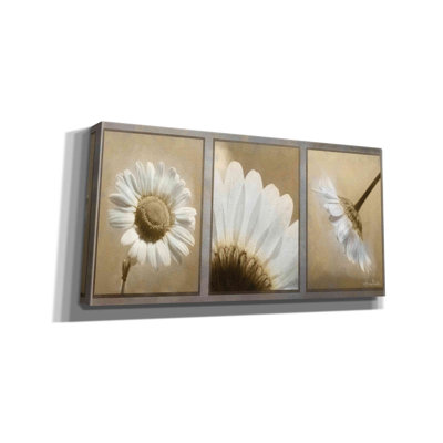 " Daisy Trio " by Lori Deiter