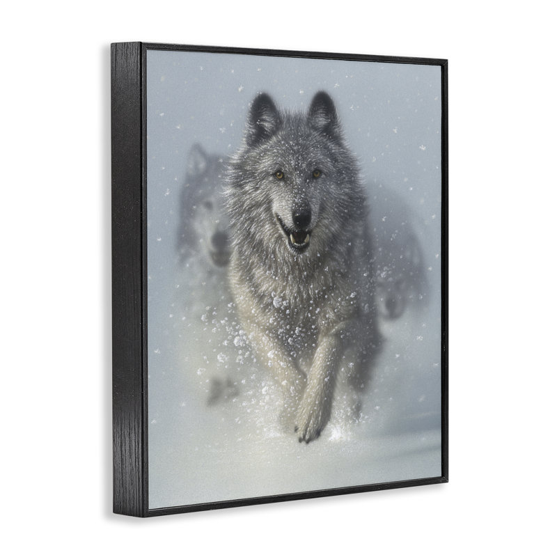 «Snow Plow Courir Wolf Pack», giclée encadrée, conception par Collin Bogle, H 14 po x l 11 po, Giclée encadrée noir minuit