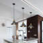 1 - Light Black Single Pendant
