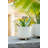 Escarlett Handmade Ceramic Pot Planter-1894854693