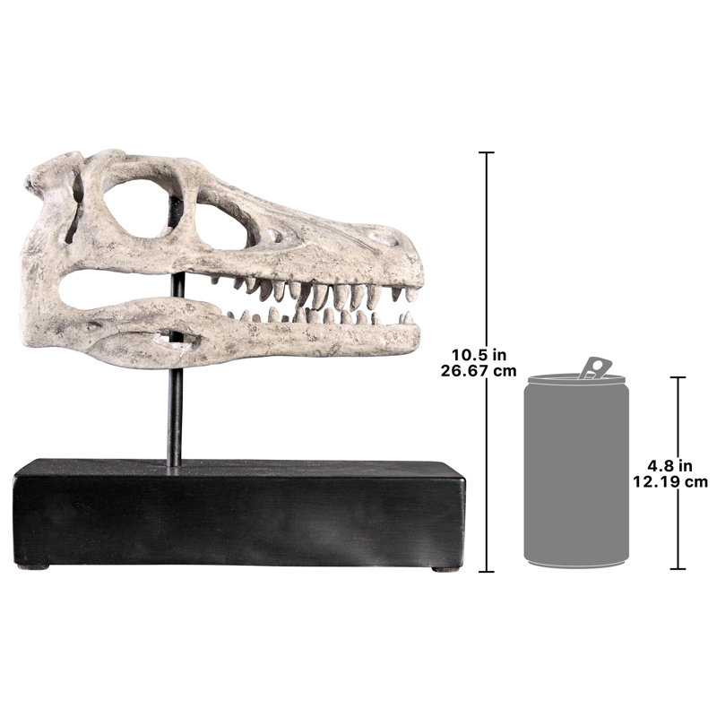 Velociraptor Dinosaur Skull Fossil Sculpture