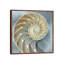 Nautilus In Blue I-1492520392-1492520398