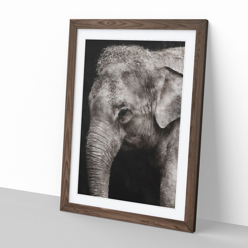 Elephant Vol.3 - Picture Frame Graphic Art, 65cm H x 48cm W x 2cm D, Walnut Framed