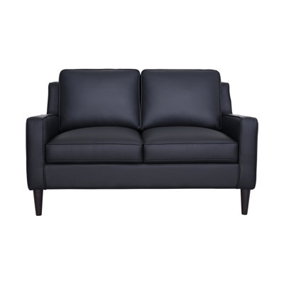 Balaal 56'' Leather Loveseat