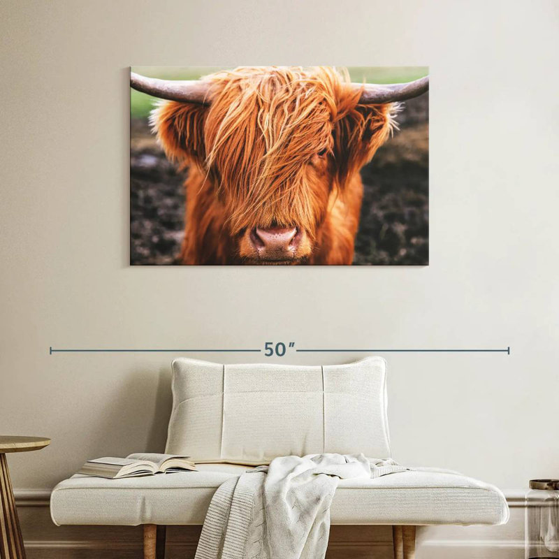 Brampt Highland Cow Fringe, 26" H x 39" W
