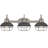 3 - Light Dimmable Vanity Light