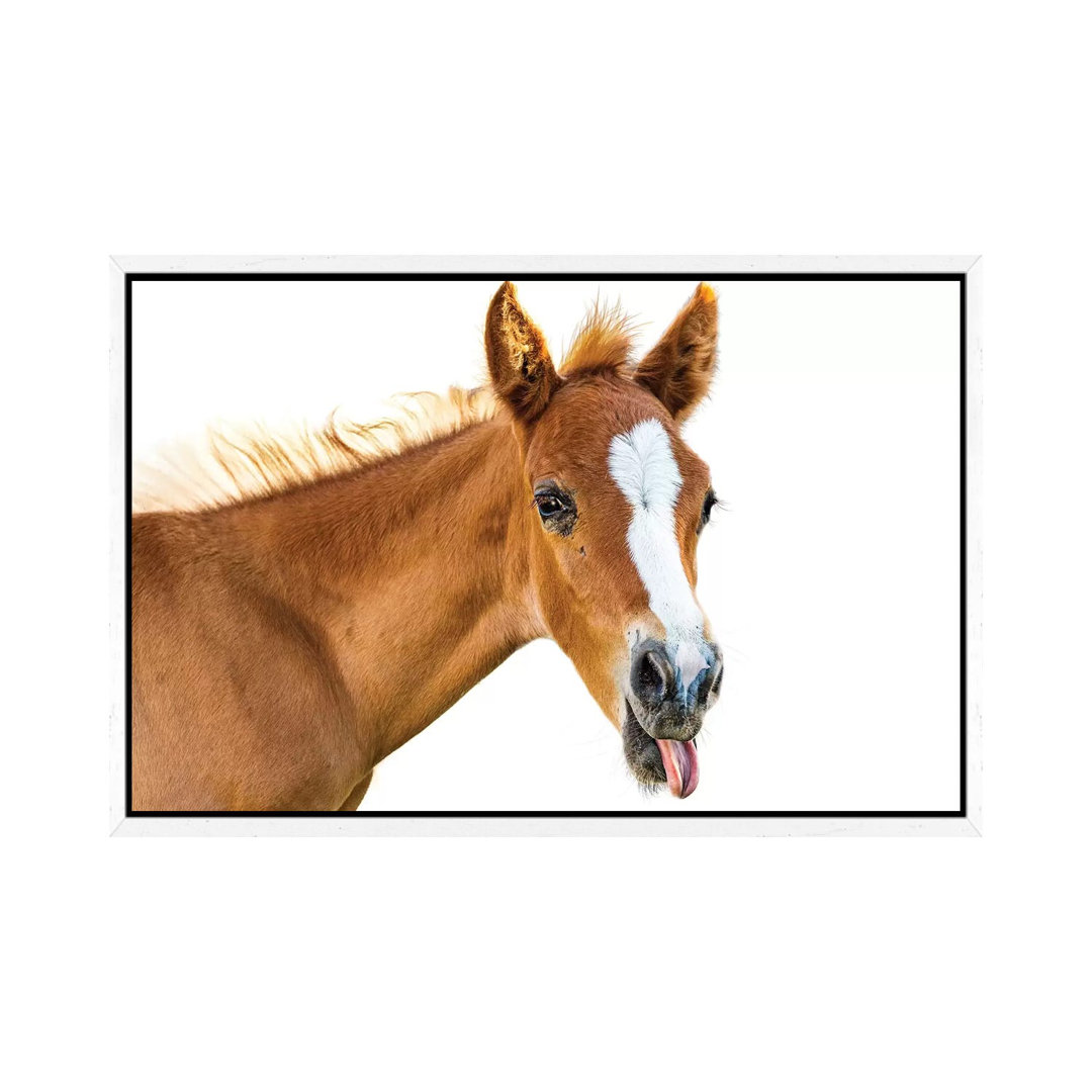 Funny Baby Horse Sticking Tongue Out by Susan Richey - Gallery-Wrapped Canvas Giclée on Canvas