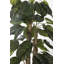 Scindapsus aureus artificiel de Panama en pot 58 po