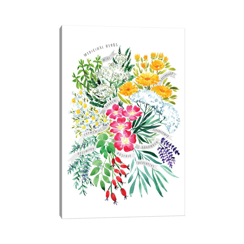 Medicinal Herbs Bouquet In Watercolor 1 Piece Wall Art on Canvas, 101.6cm H x 66.04cm W