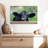 Brampt Nosy Ranch Cow-107707826