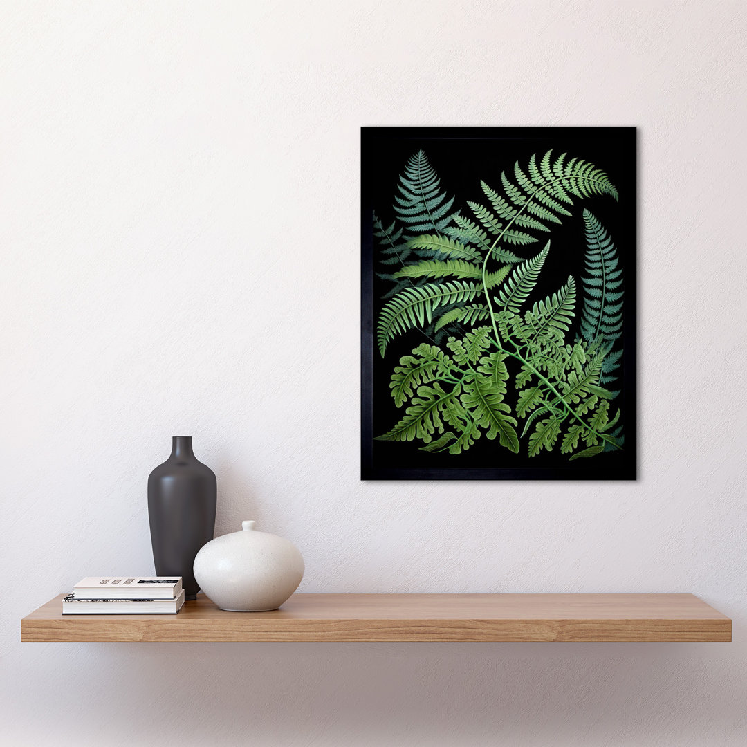Fern Fronds Ernst Haeckel Style Dark Illustration - Single Picture Frame Print