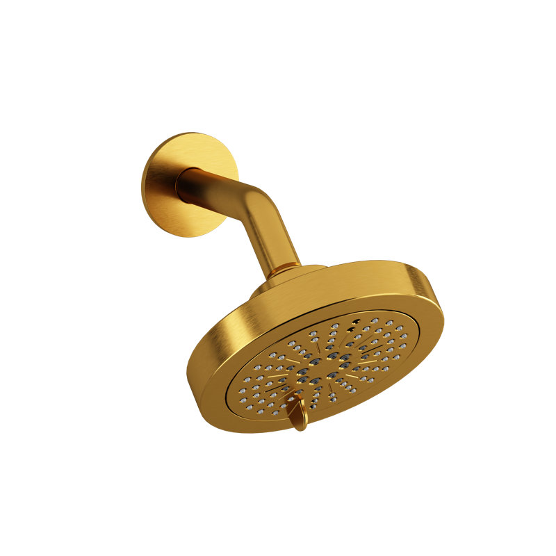 Riobel 6" 6-Function Showerhead With Arm, 2.0 GPM