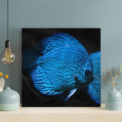 Deux poissons discus bleus - peinture sur toile tendue