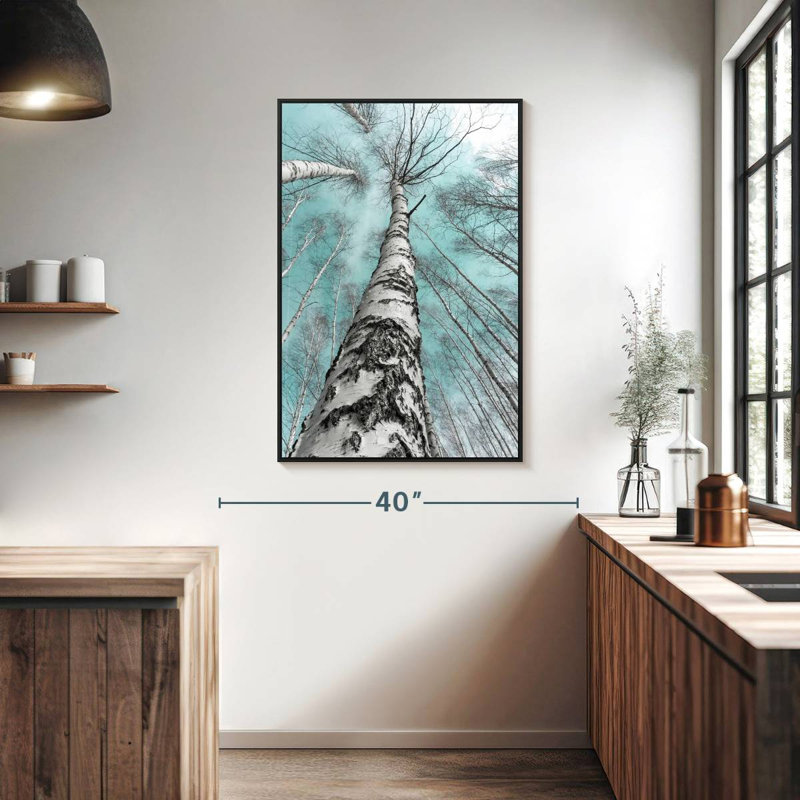 Bouleaux imposants, Cadre flottant noir, 27 po x 40 po