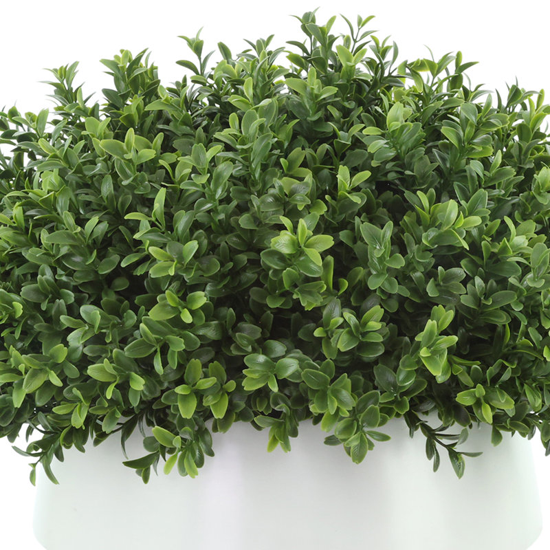Faux Boxwood Plant in Ceramic Pot, 13"H x 21"W x 21"W