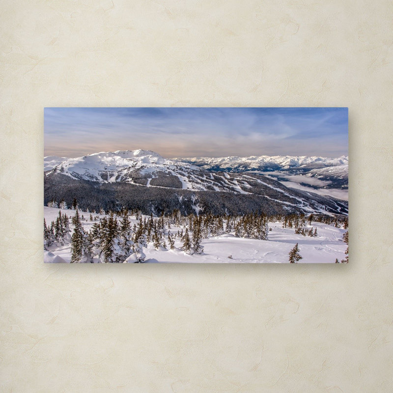 Winter Landscape Canvas Art in White and Blue