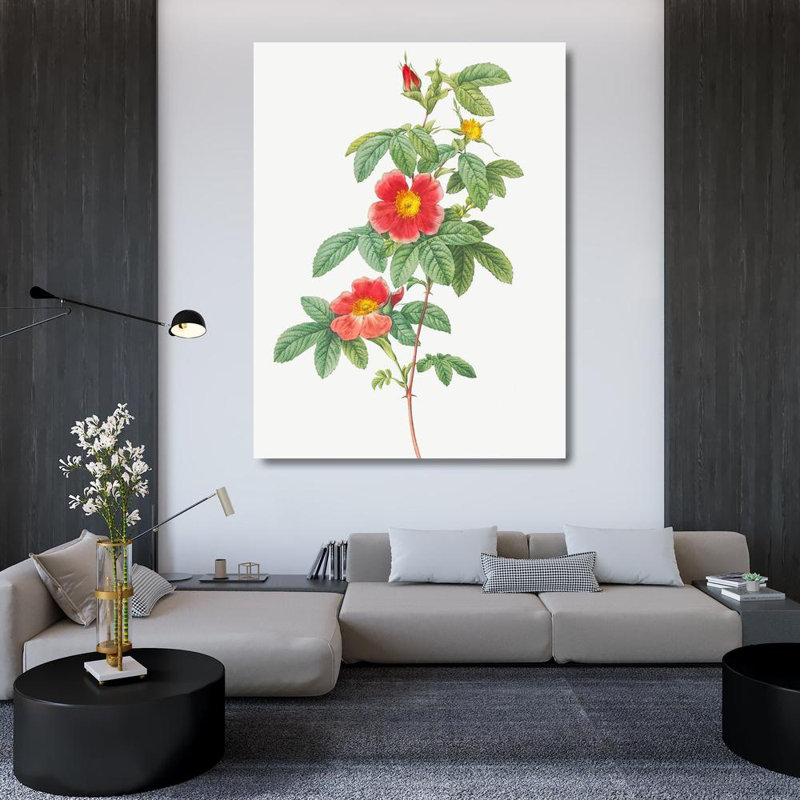 Redoute, Pierre Joseph, art sur toile: Rosa majalis, rose simple, Rosa Cinnamomea flore simplici, H 47 po x l 36 po
