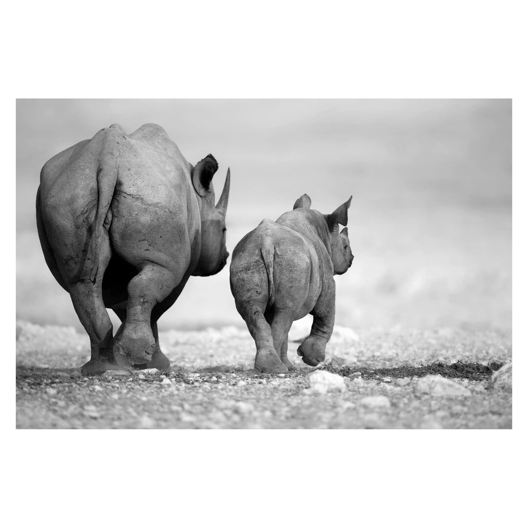 Matte Fototapete Wandering Rhinos II 3,2 m x 480 cm