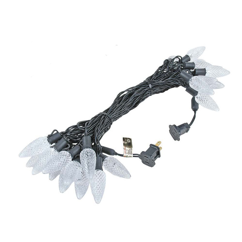 Speicher Outdoor 25 - Bulb 25'' Plug-in Novelty String Light, White, White/Clear