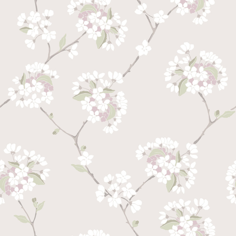 Wilma - Cornwall Gray, Whisper