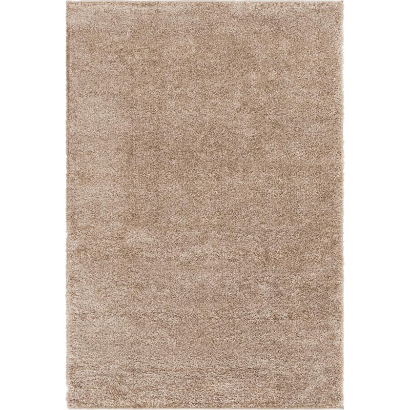 Indoor Rug, Rectangle 4'1" x 6'1"