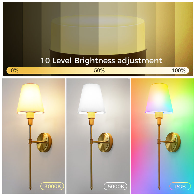 Argill Battery Operated Wallchiere Tradictional Sconce, Gold