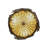 Glass Semi Flush Mount