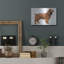 «Cocker Spaniel» par Harro Maass-1904231842