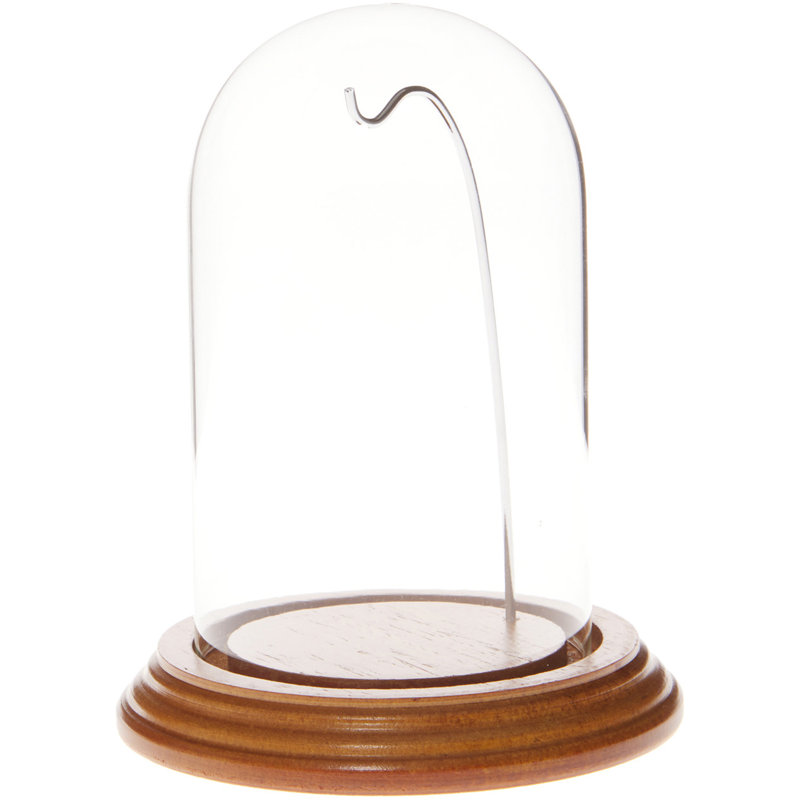 Cloche à dôme en verre 3 "x 5", Base en chêne / fil argenté
